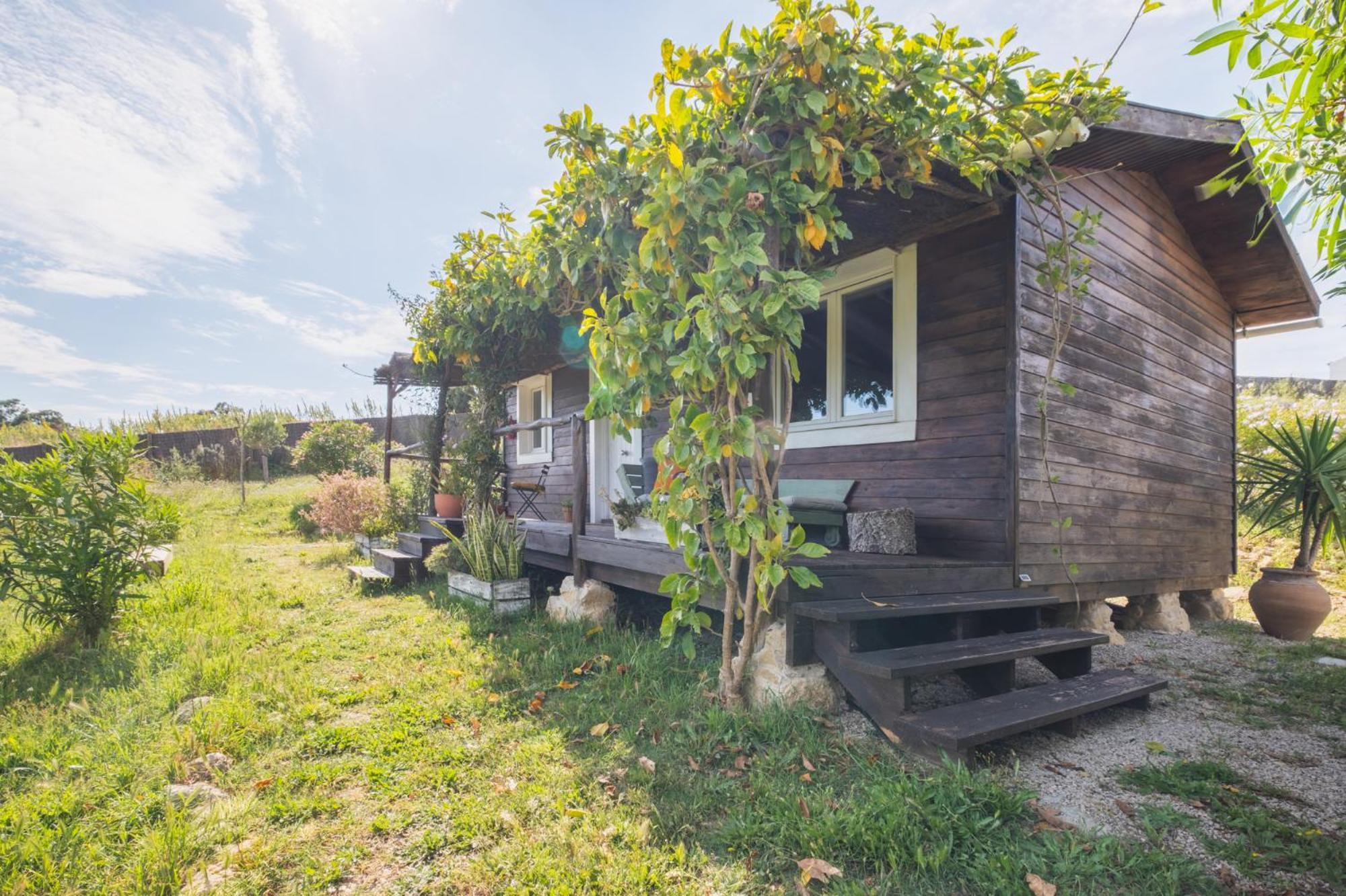 Ruralcamomo Βίλα Καντίζ Εξωτερικό φωτογραφία